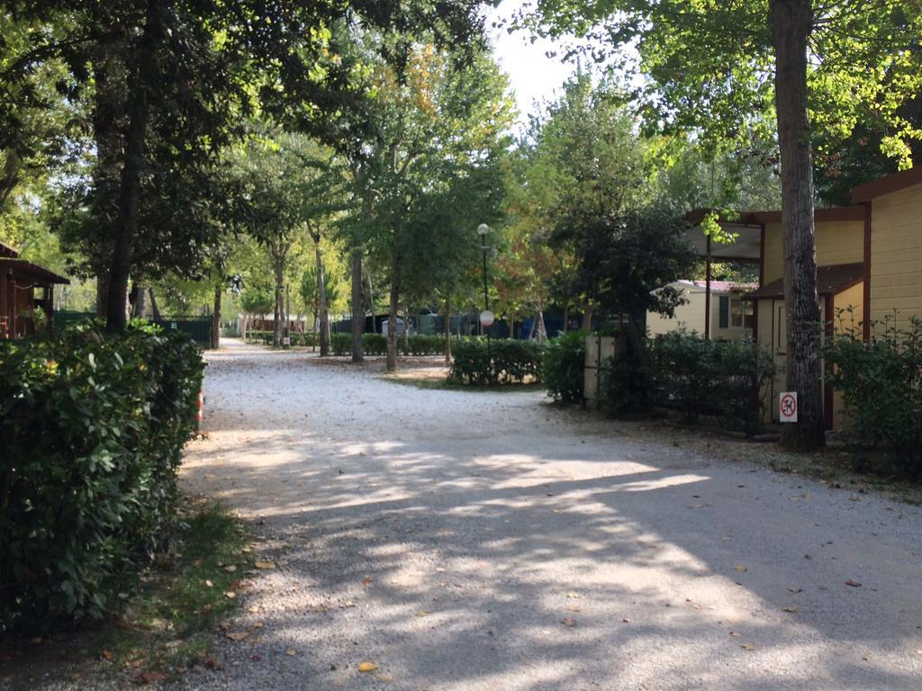 Campeggio Boscoverde Torre del Lago Puccini Eksteriør billede