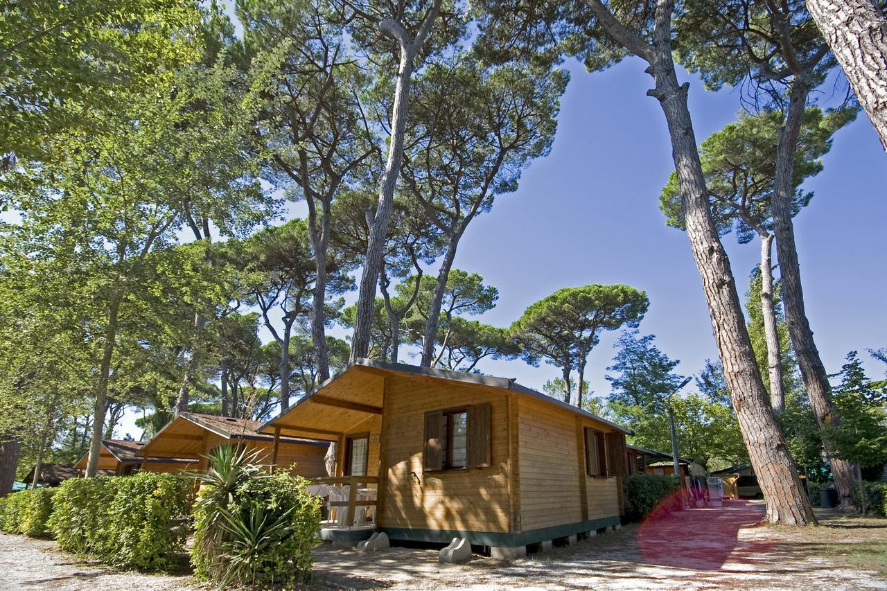 Campeggio Boscoverde Torre del Lago Puccini Eksteriør billede